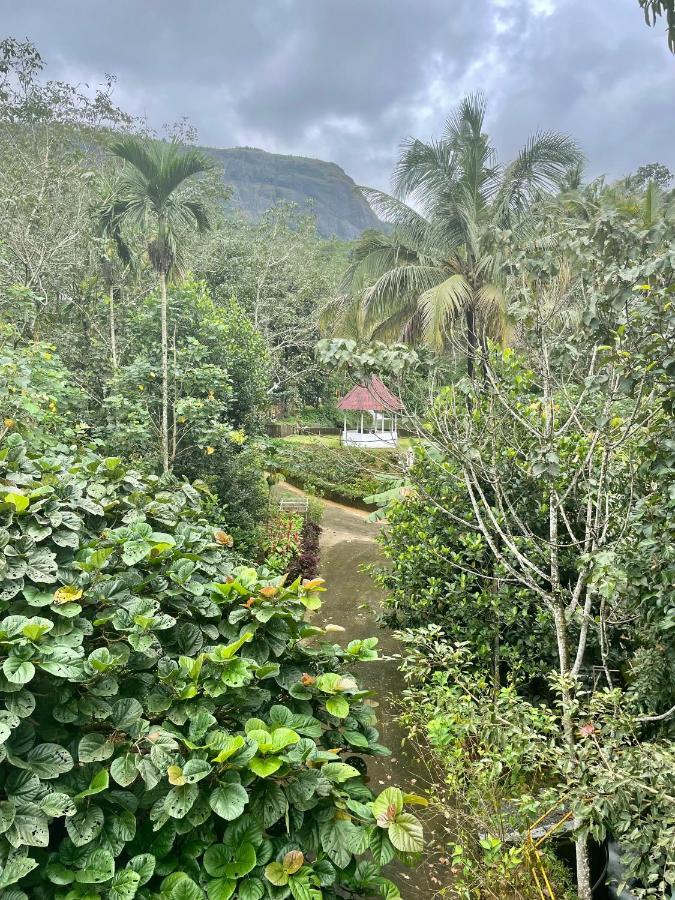 Nutmeg Valley Idukki Exterior photo
