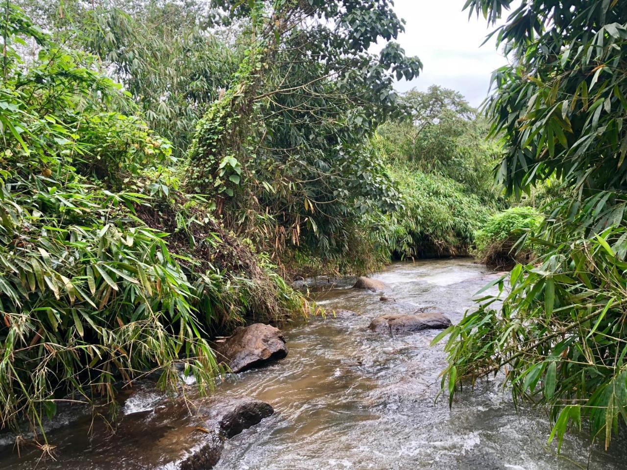 Nutmeg Valley Idukki Exterior photo